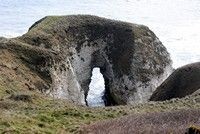 [Bempton Cliffs]