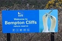 [Bempton Cliffs]