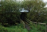 [Main hide entrance at Catcott]