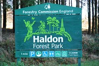 [Haldon Forest Park]