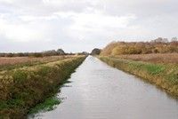 [The canal between Ham Wall and Shapwick Heath reserves, Somerset Levels]