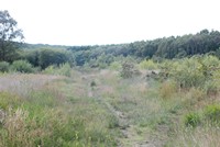 [Overlooking the heathland]