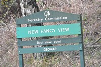 [new fancy view point2]