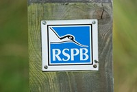 [rspb]