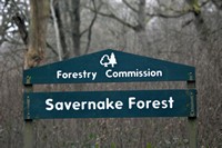 [forest sign]
