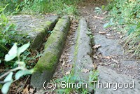 [Park of the stone tracks]