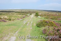 [The track on Dartmoor]