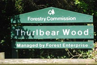 [thurlbear wood]