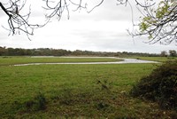 [A view from the hide at Bowling Green, Topsham]