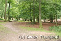 [In the middle of the castle]