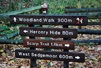 [West Sedgemoor reserve, Somerset Levels]